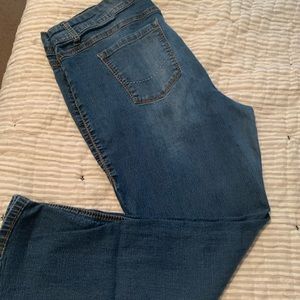 Torrid Source of Wisdom Jeans